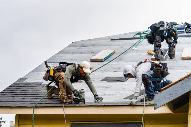 Professional Roofing technician working in Orient, WA